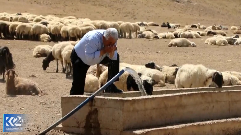 دامداران شمال کوردستان در دام خشکسالی